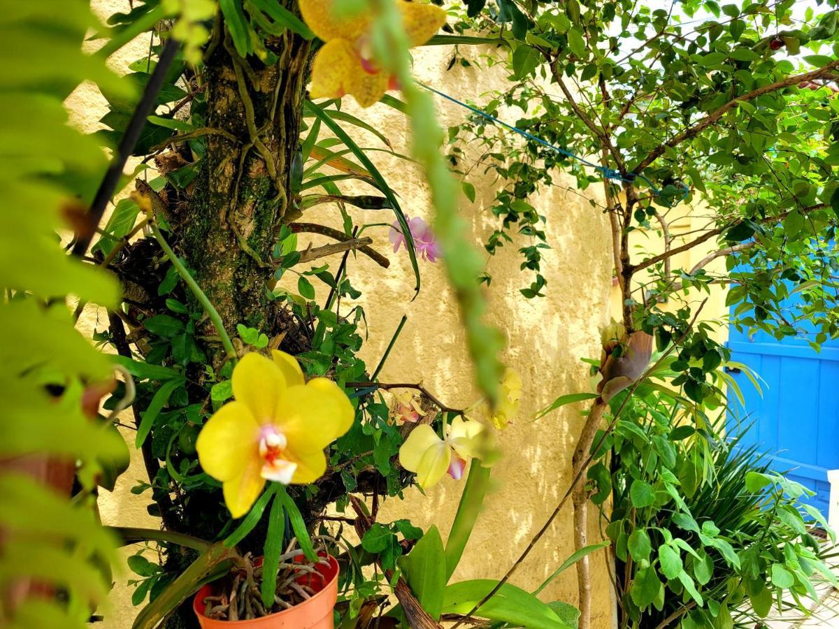 Pousada Recanto Dos Nativo Araquari Exterior photo